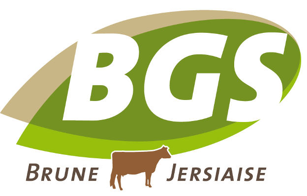 BGS Logo 2010.jpg